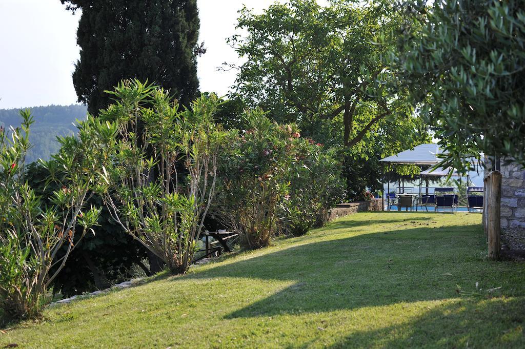Collelungo Guest House Castellina in Chianti Ngoại thất bức ảnh