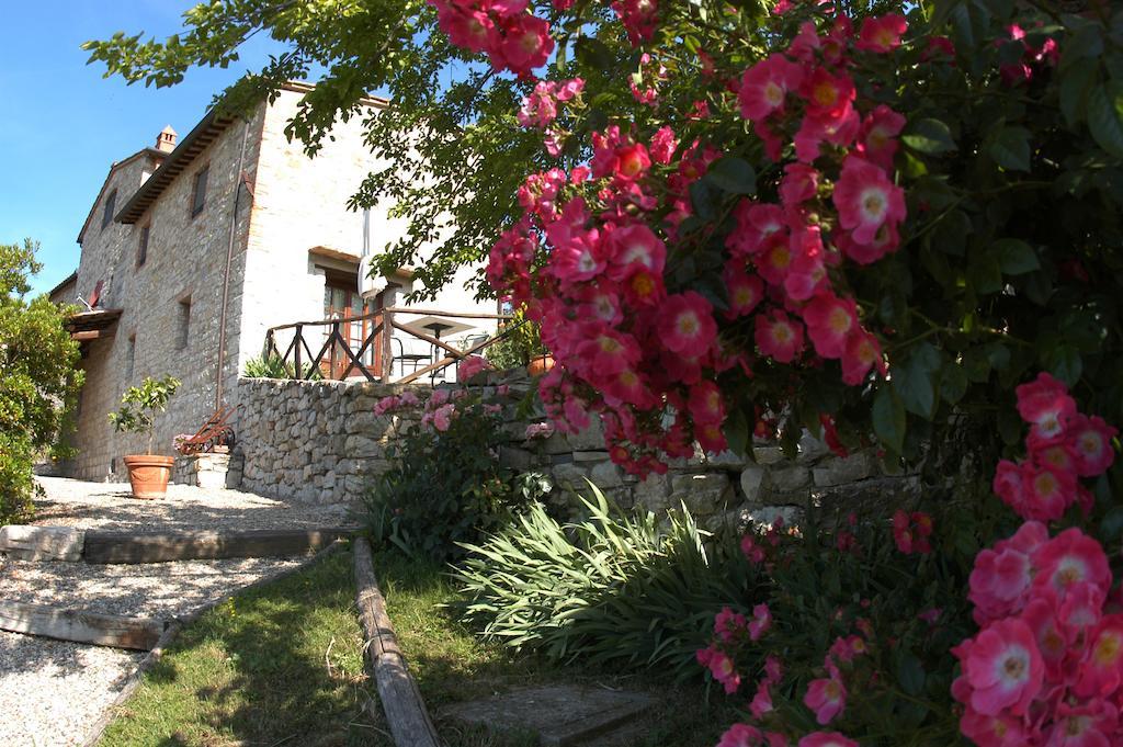 Collelungo Guest House Castellina in Chianti Ngoại thất bức ảnh