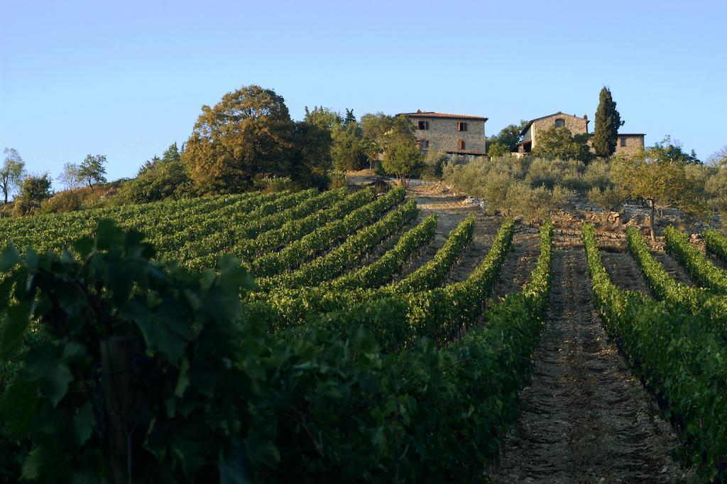 Collelungo Guest House Castellina in Chianti Ngoại thất bức ảnh