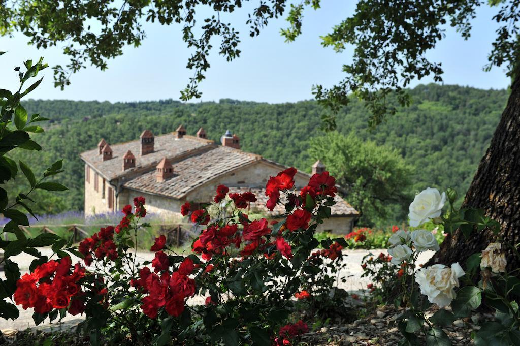 Collelungo Guest House Castellina in Chianti Ngoại thất bức ảnh