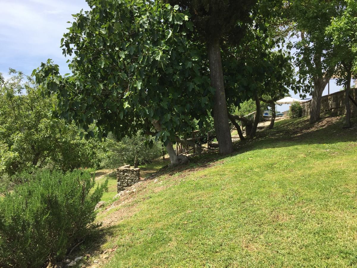 Collelungo Guest House Castellina in Chianti Ngoại thất bức ảnh
